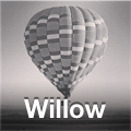filtr Willow